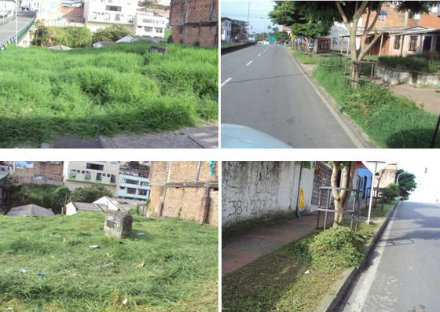 ancizar lopez ancizar lopez