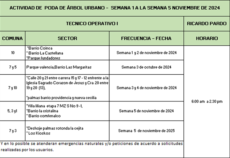 ACTIVIDAD PODA DE ÁRBOL