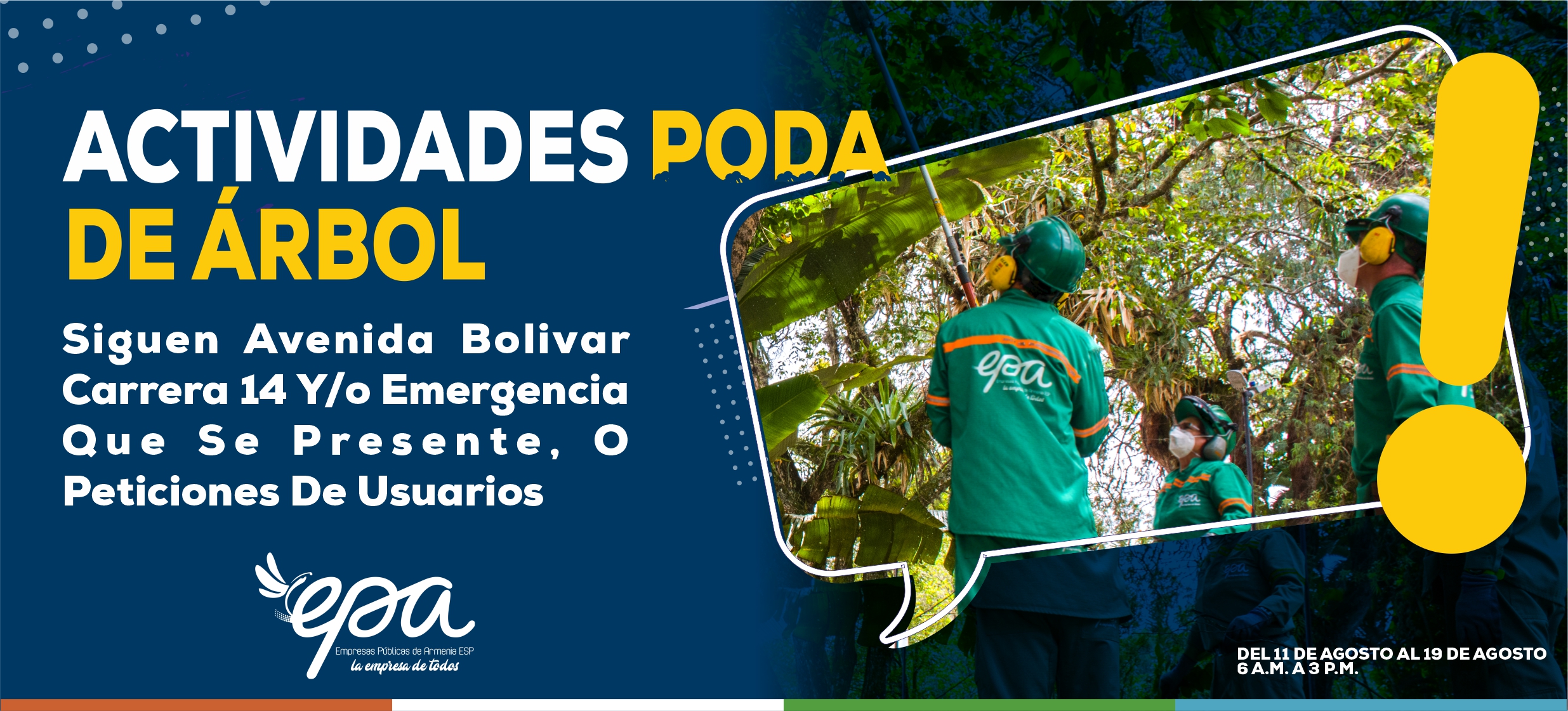 ACTIVIDAD PODA DE ÁRBOL 11 DE AGOSTO 19 DE AGOSTO