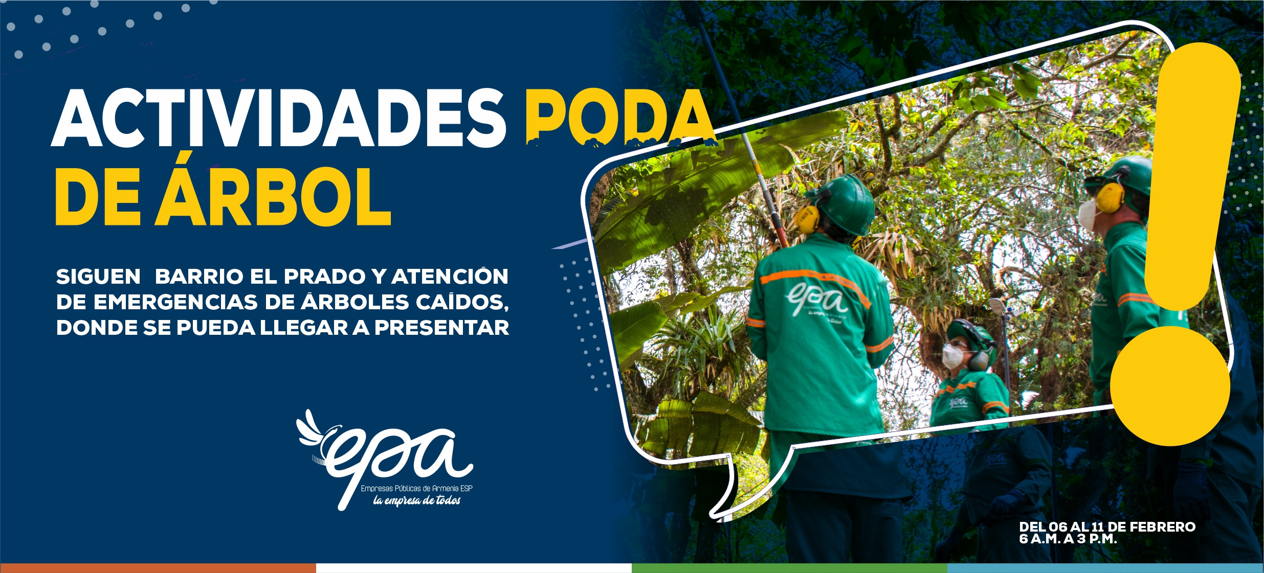 PODA ARBOL 06 11 FEBRERO