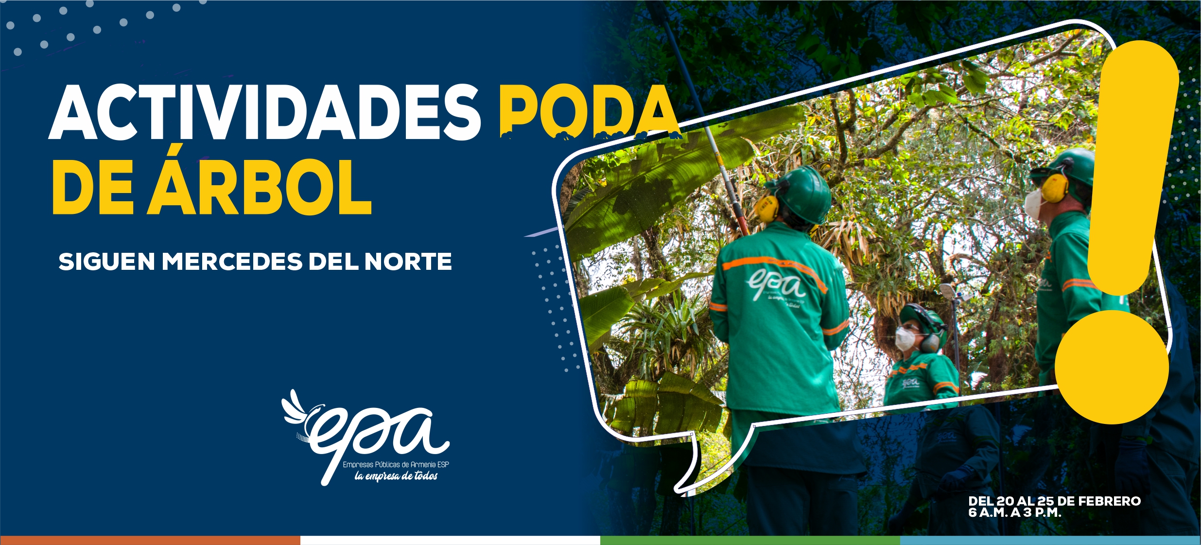 PODA ARBOL 20 25 FEBRERO