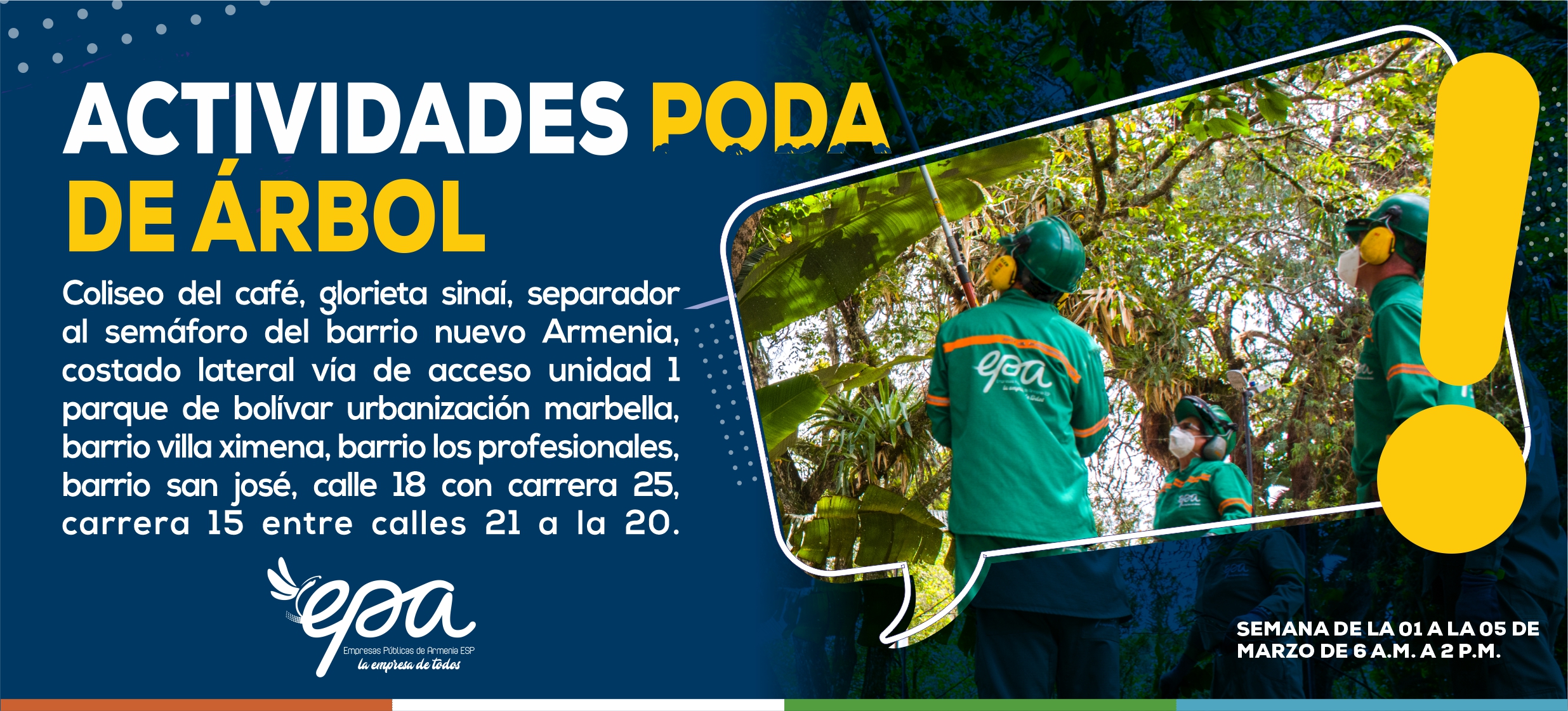 PODA DE ARBOL