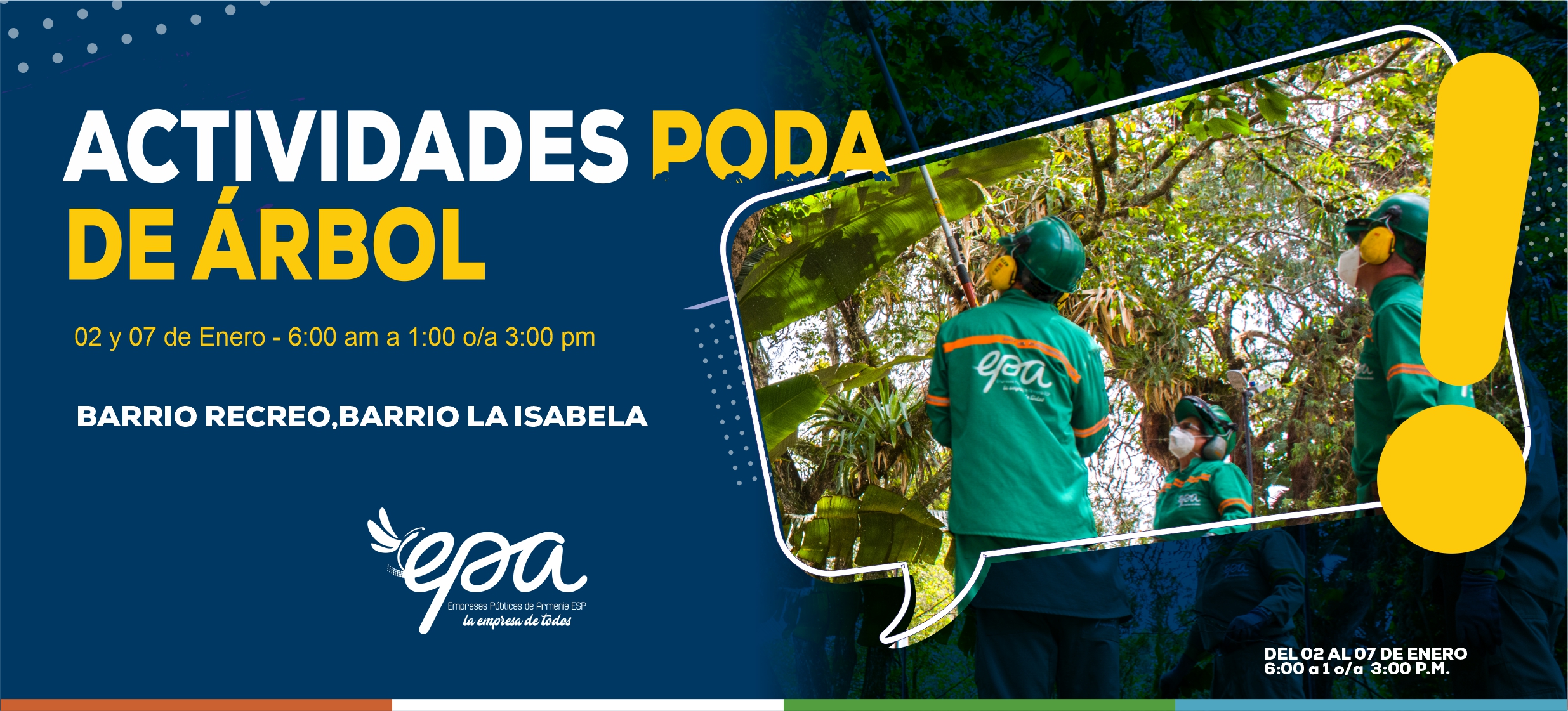 PODA DE ARBOL 02 07 Enero
