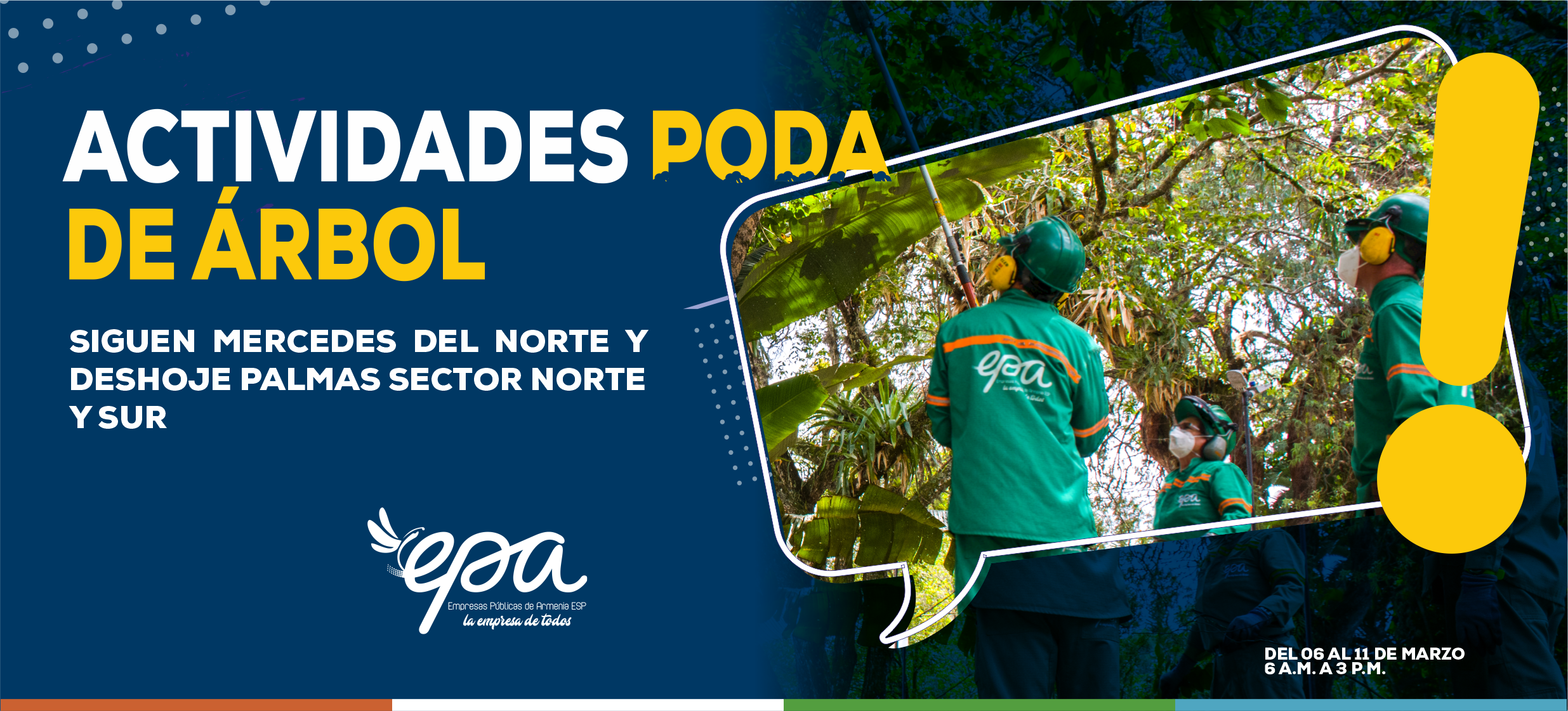 PODA DE ARBOL 06 11 MARZO