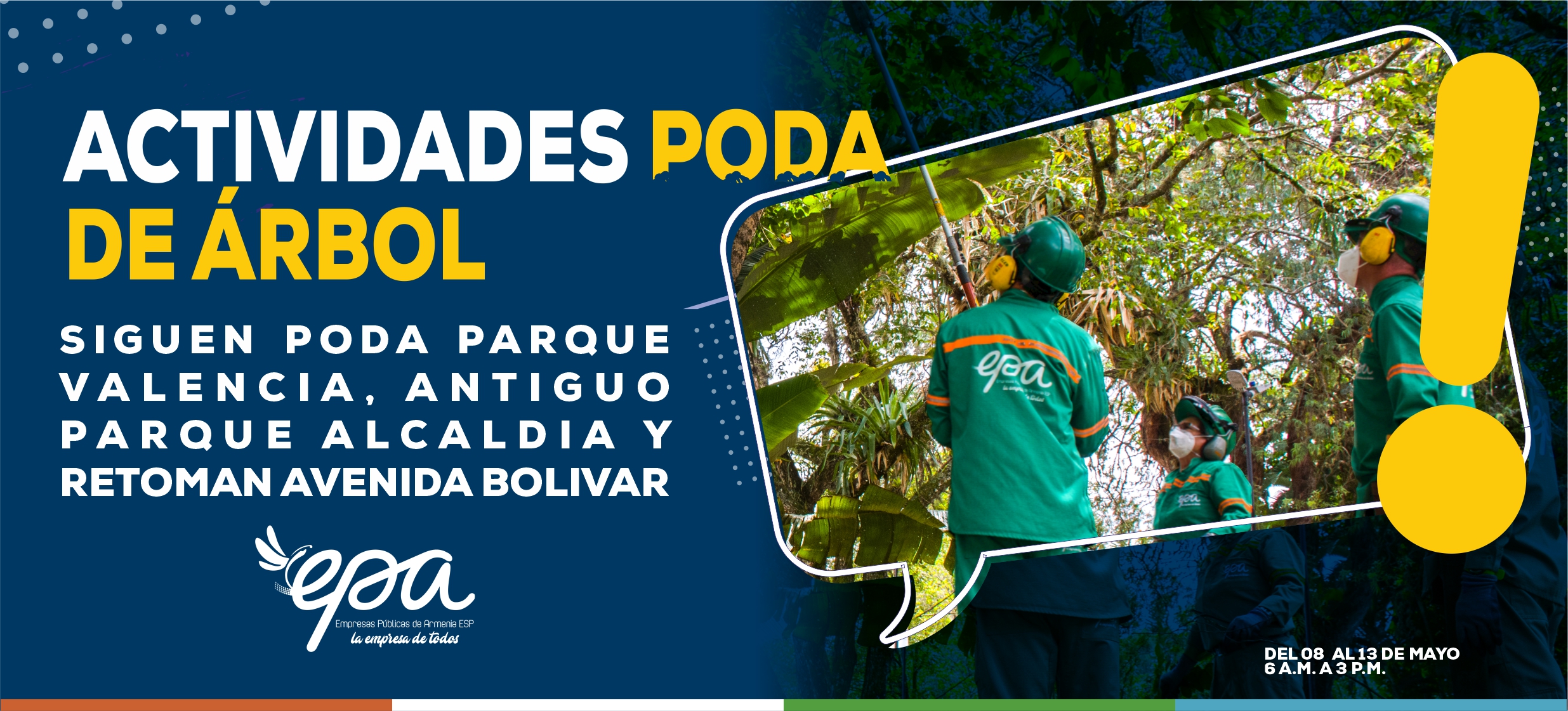 PODA DE ARBOL 08 AL 13 MAYO