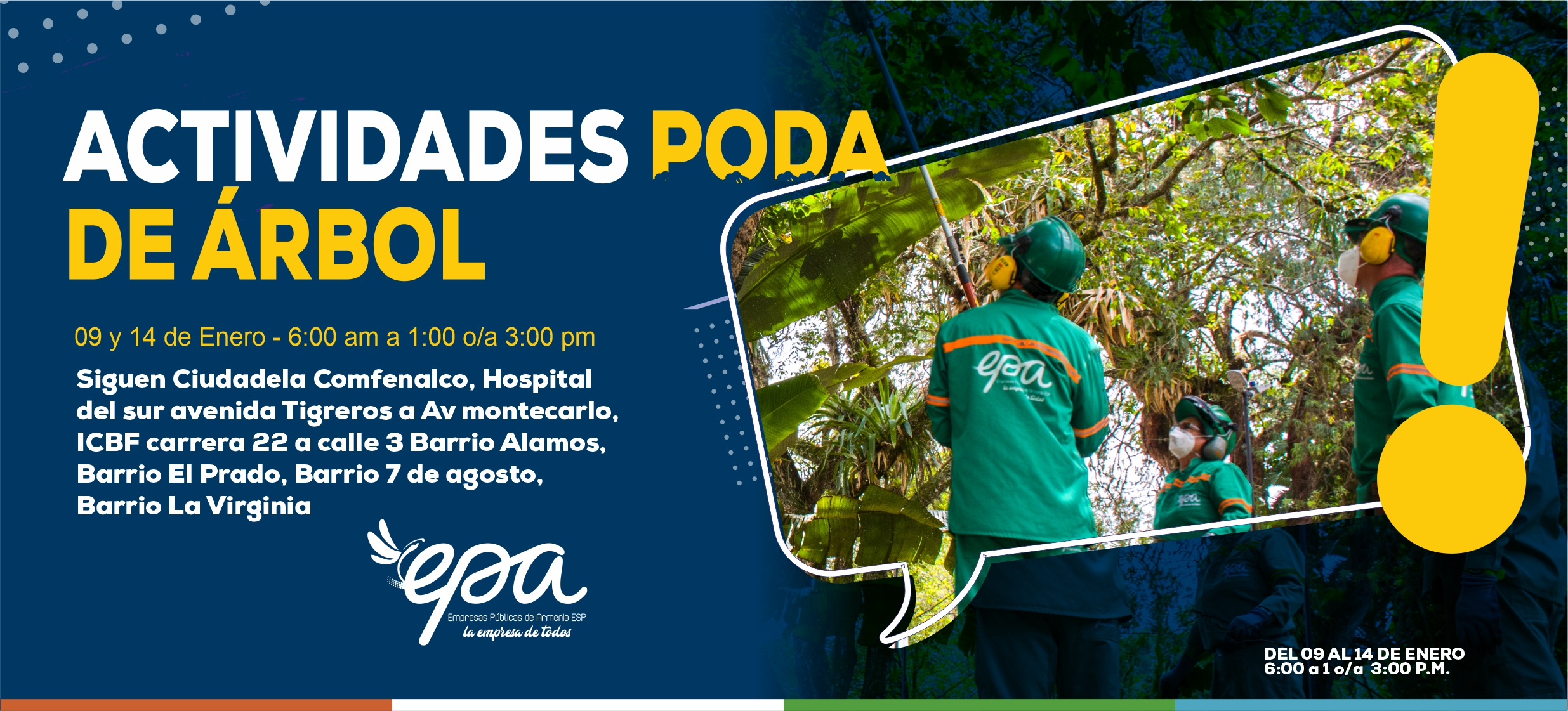 PODA DE ARBOL 09 14 ENERO