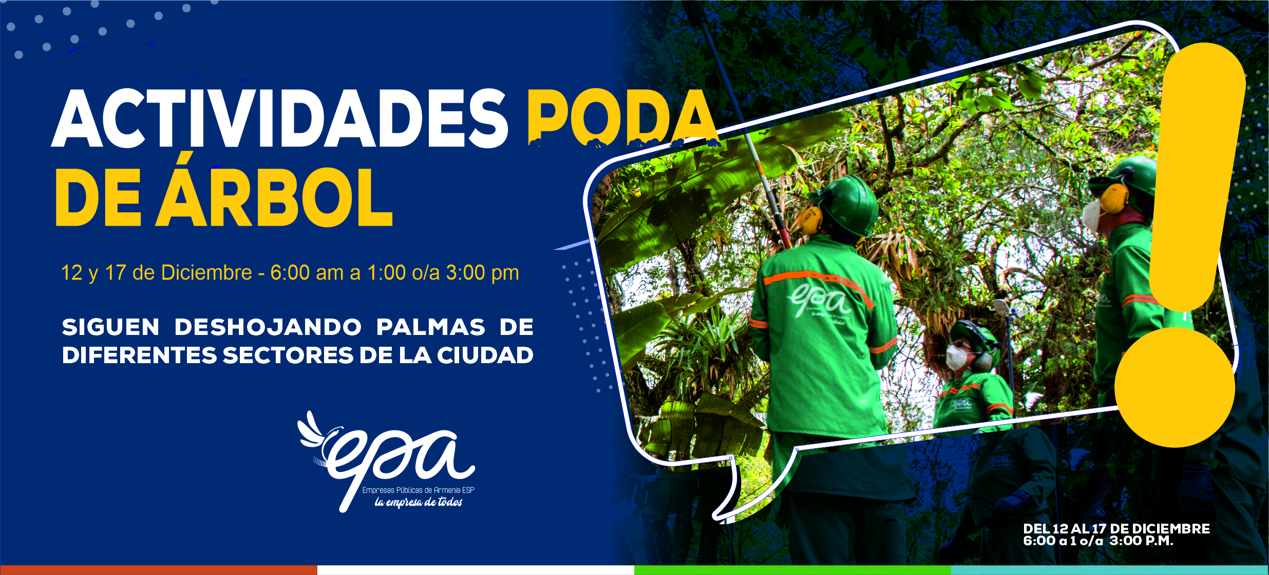 PODA DE ARBOL 12 17