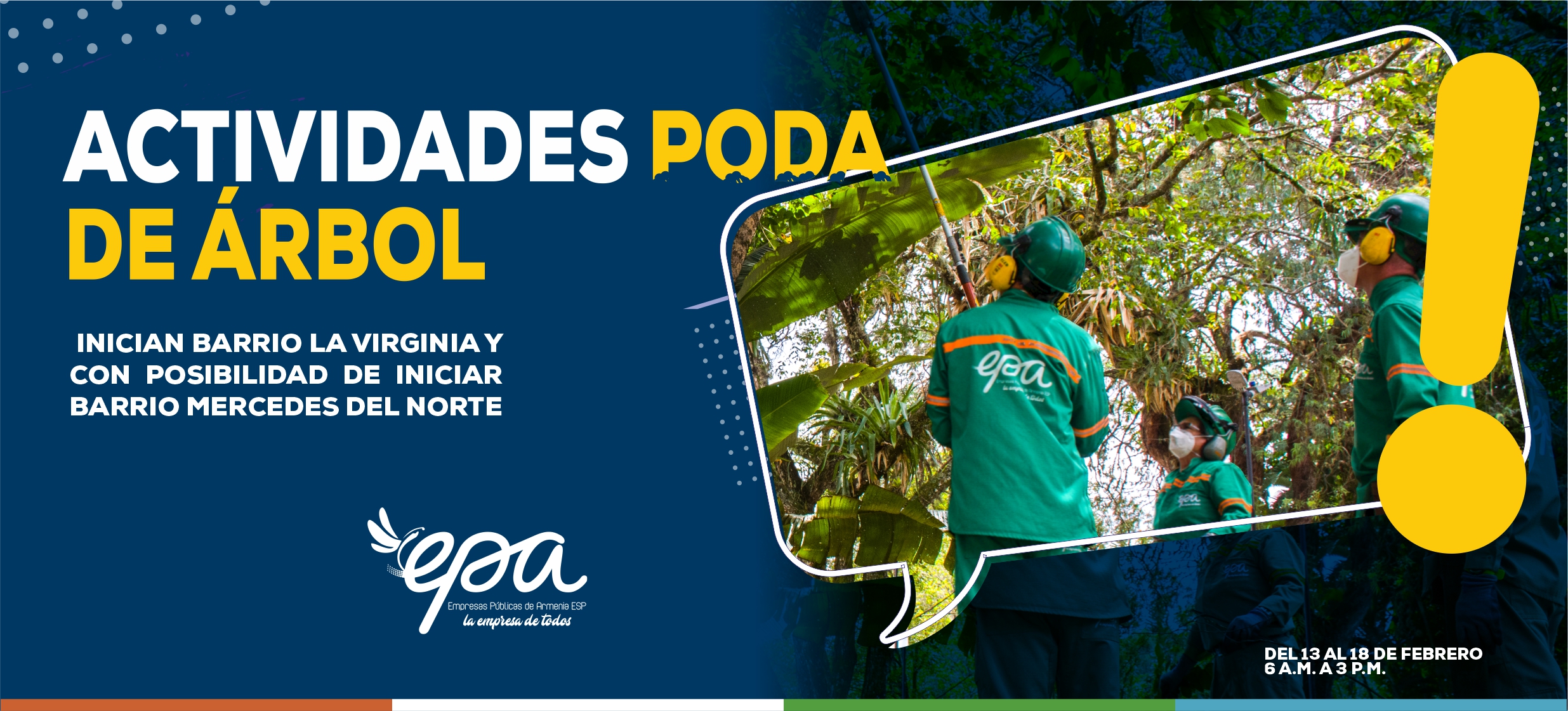PODA DE ARBOL 13 18 FEBRERO
