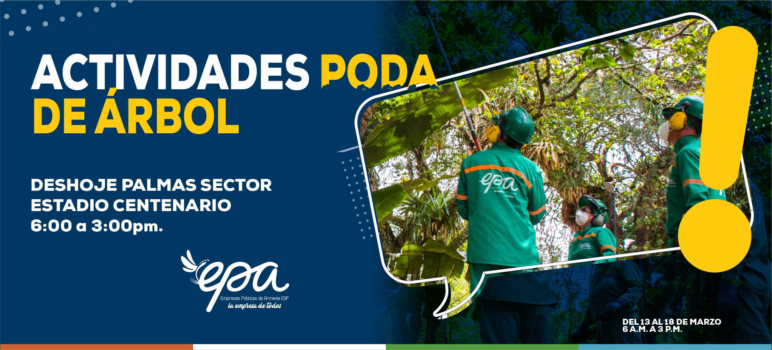 PODA DE ARBOL 13 18 MARZO