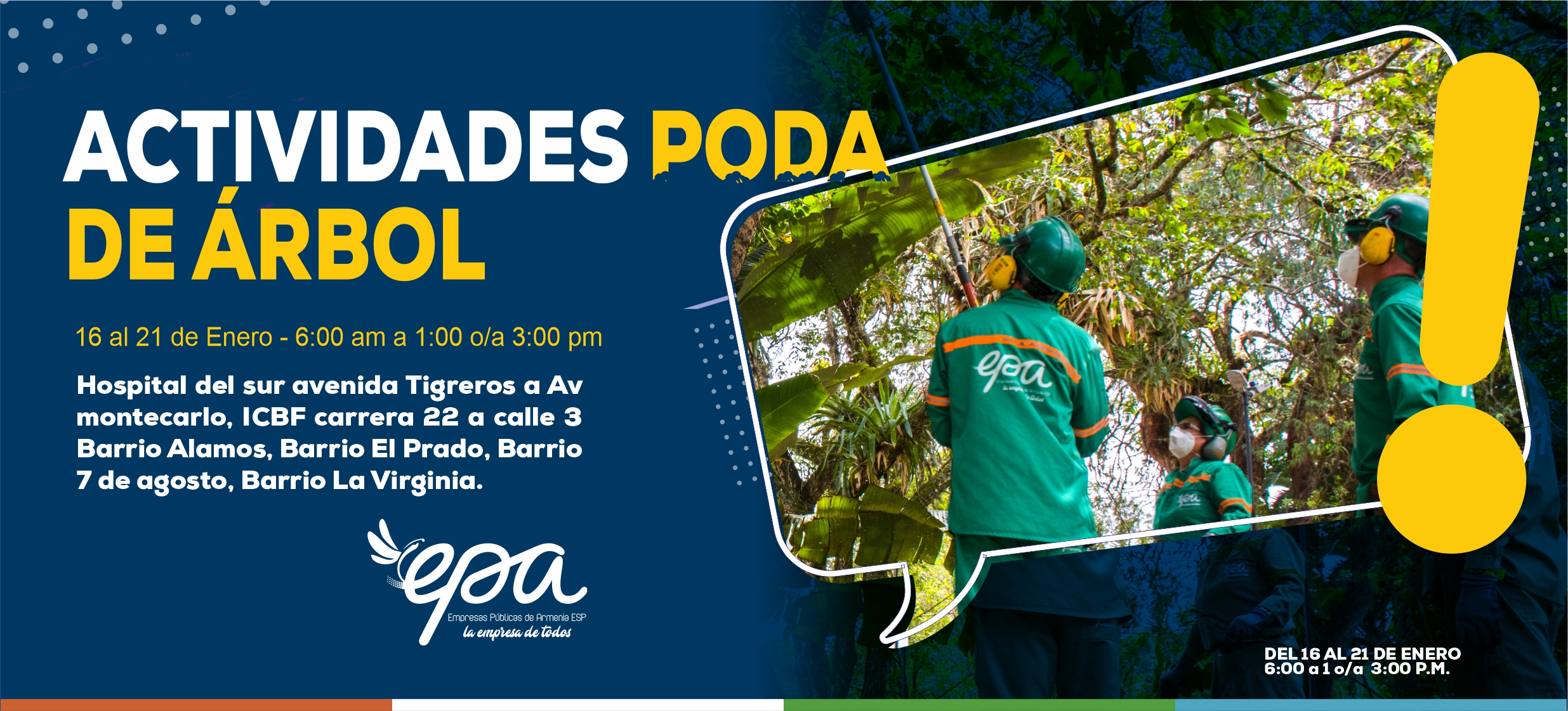 PODA DE ARBOL 16 21 ENERO