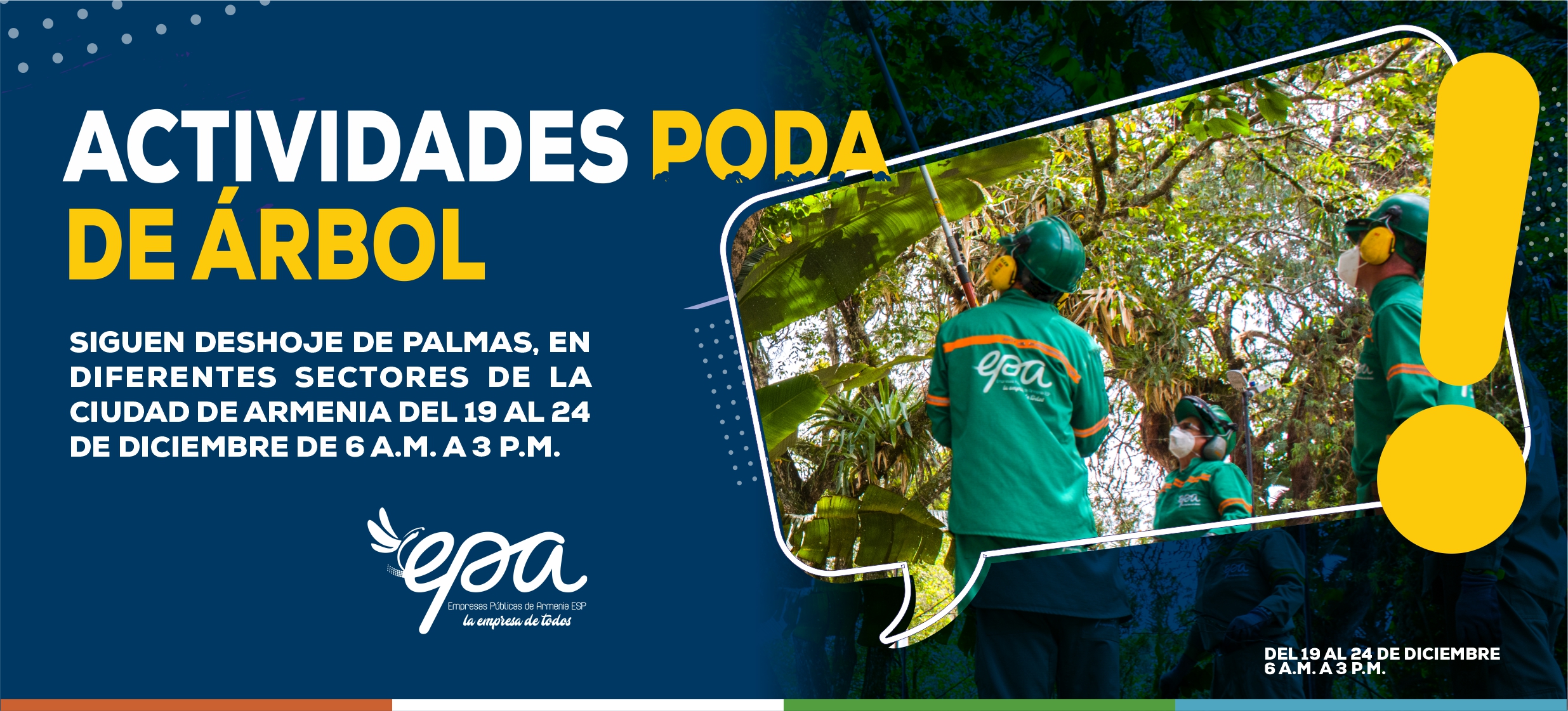 PODA DE ARBOL 19 24 diciembre