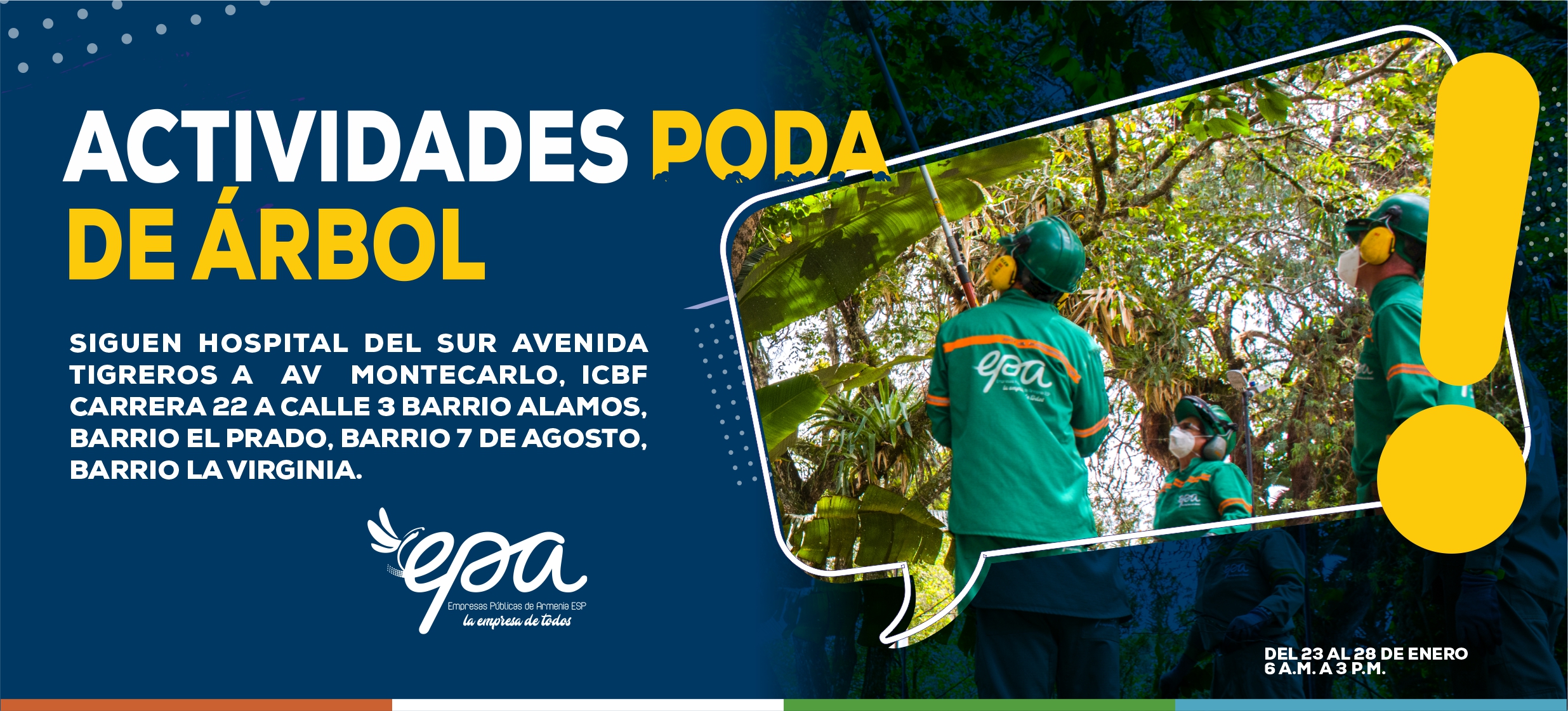 PODA DE ARBOL 23 28 ENERO