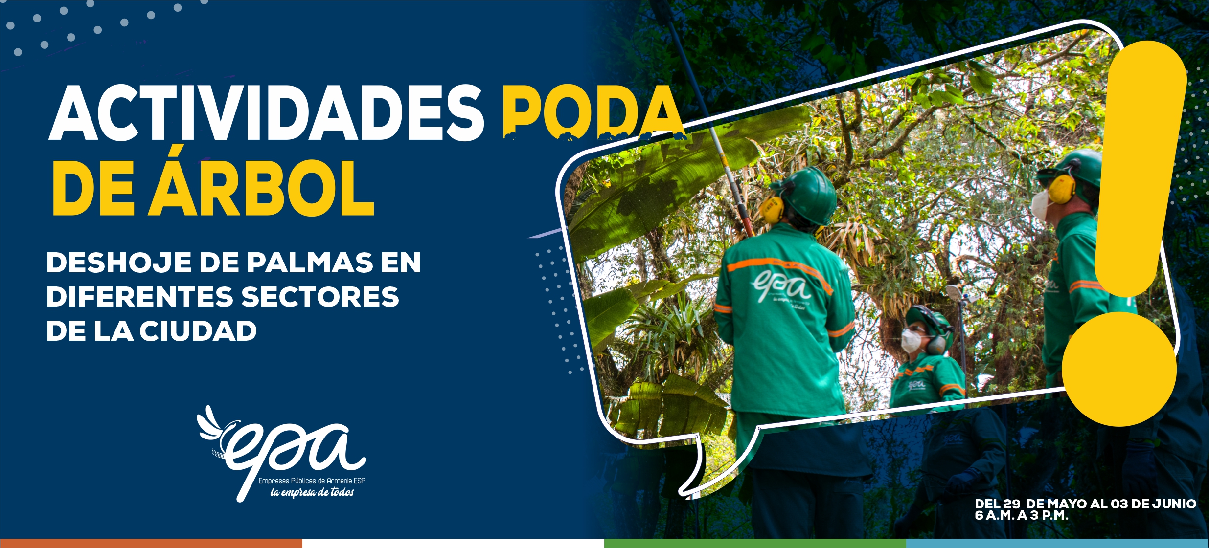 PODA DE ARBOL 29 MAYO AL 03 JUNIO