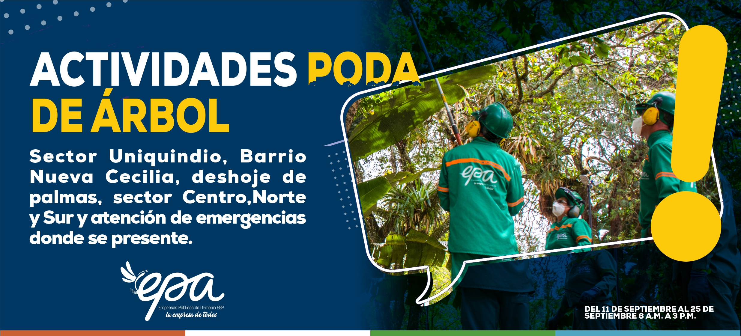 PODA DE ARBOL DEL 11 AL 25 DE SEPTIEMBRE