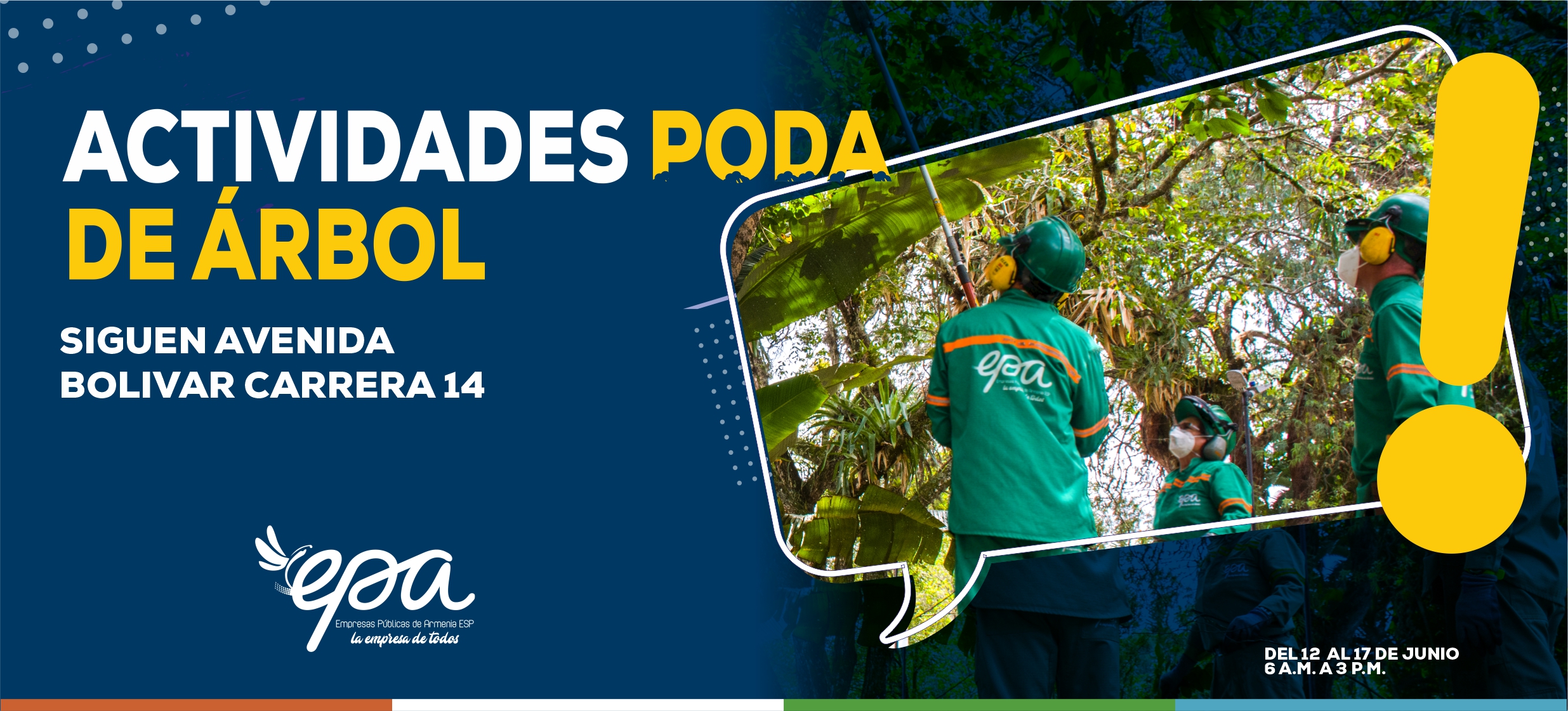 PODA DE ARBOL DEL 12 AL 17 DE JUNIO