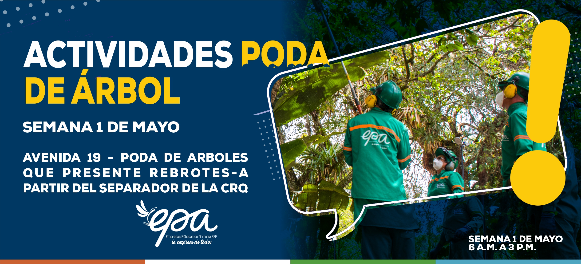 PODA DE ARBOL SEMANA 1