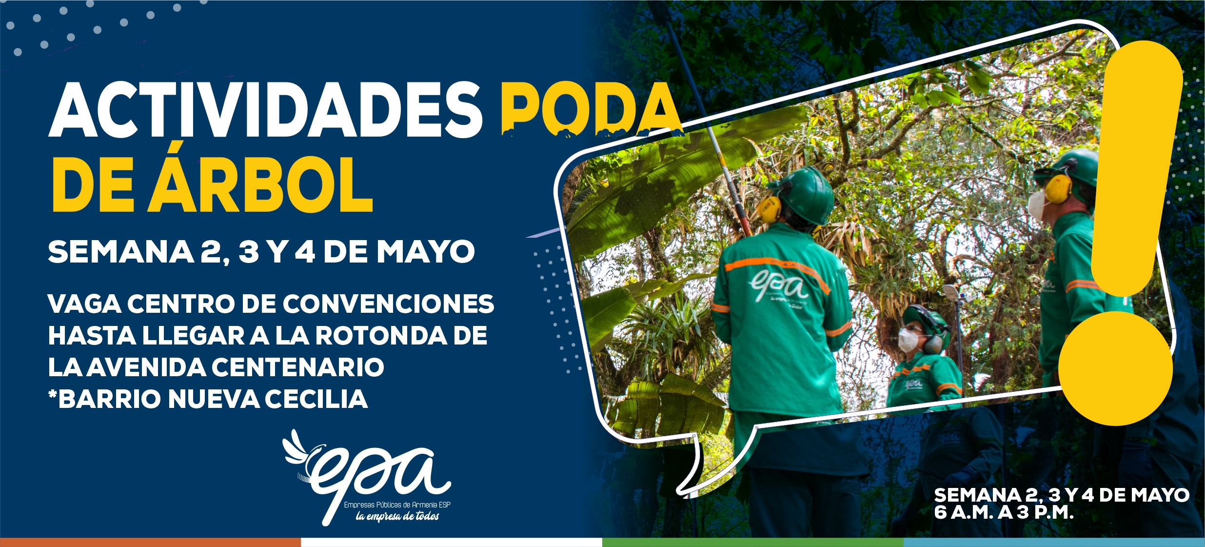 PODA DE ARBOL SEMANA 2 3 Y 4