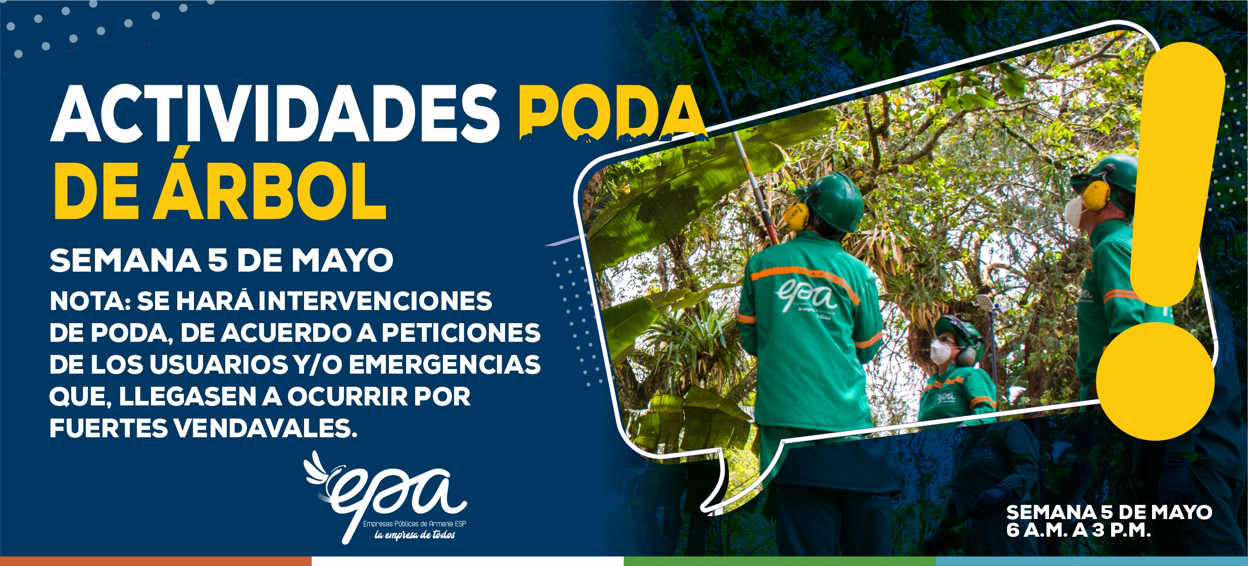 PODA DE ARBOL SEMANA 5