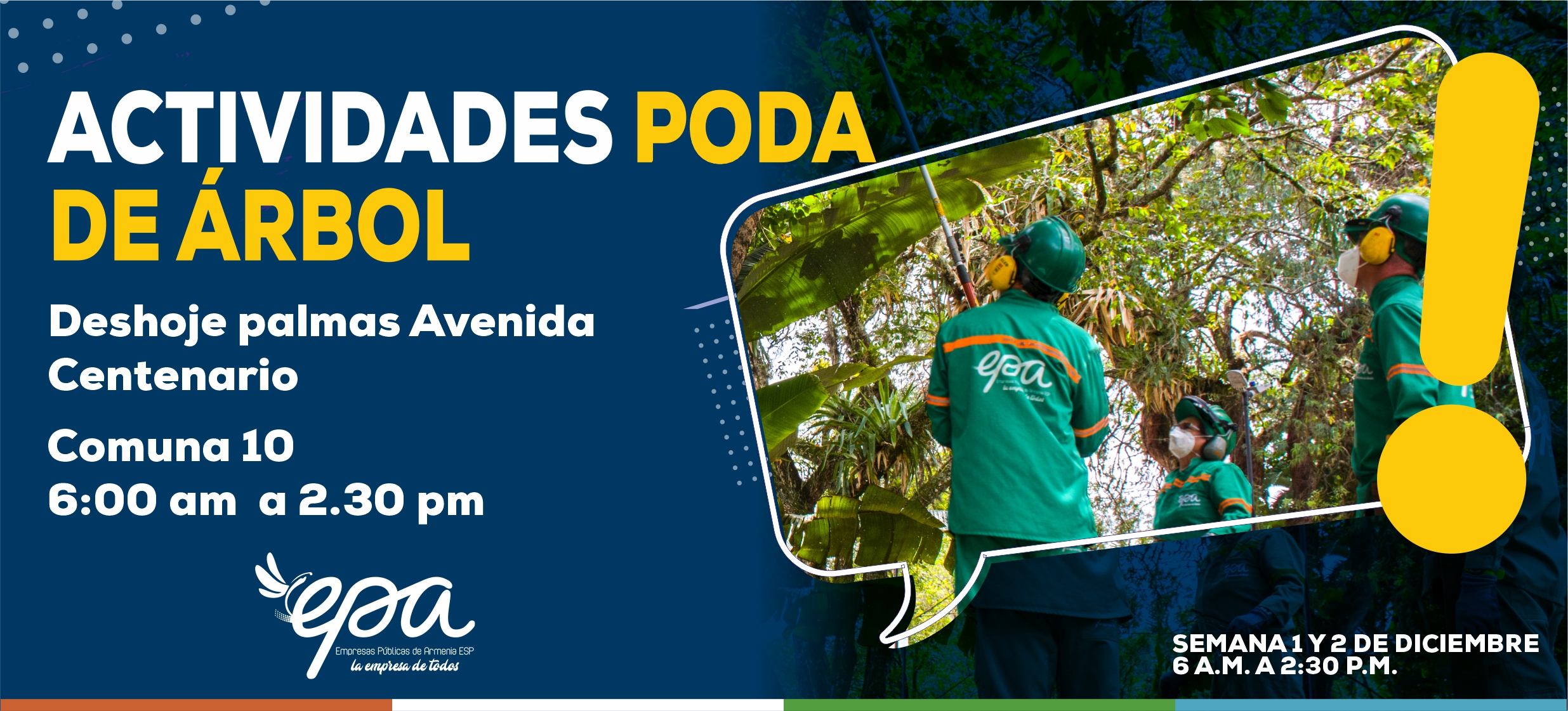 PODA DE ÁRBOL URBANO SEMANA 1 Y 2 DE DICIEMBRE COMUNA 10
