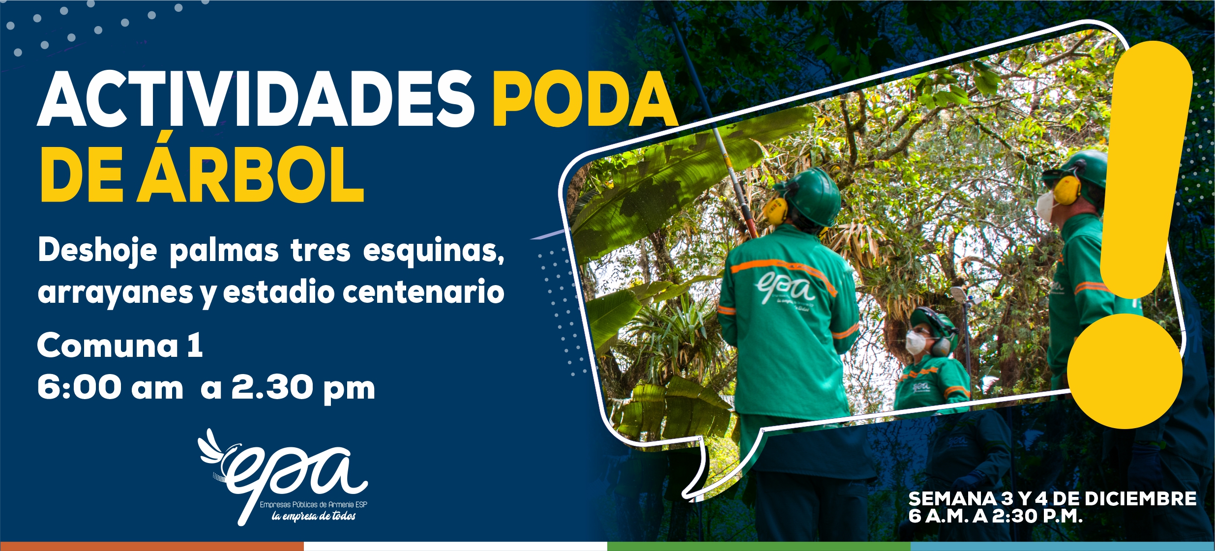 PODA DE ÁRBOL URBANO SEMANA 3 Y 4 DE DICIEMBRE COMUNA 1