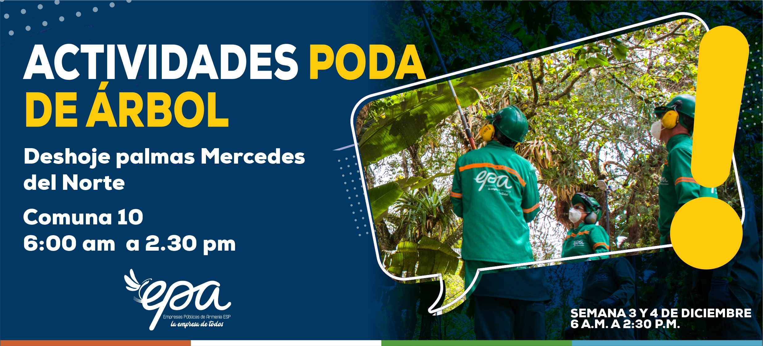 PODA DE ÁRBOL URBANO SEMANA 3 Y 4 DE DICIEMBRE COMUNA 10