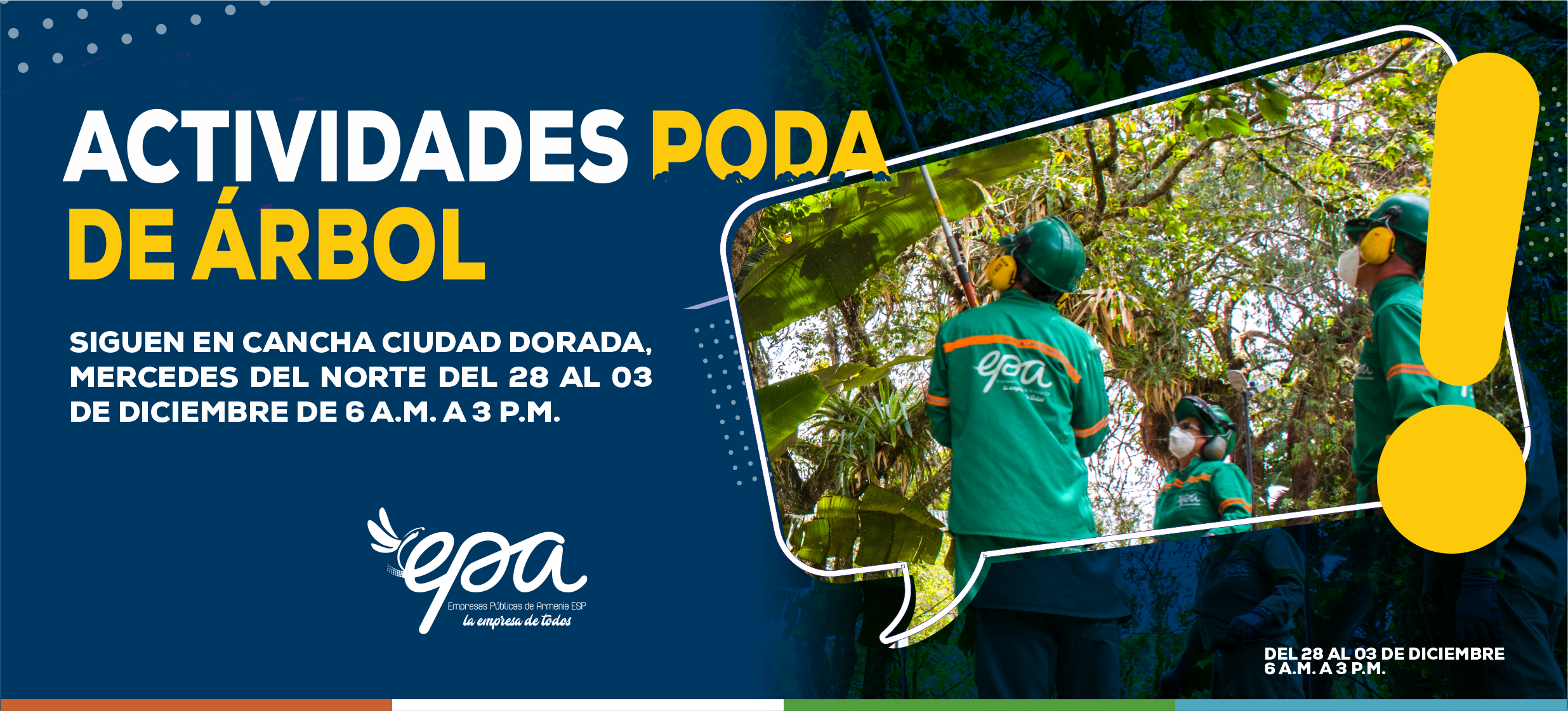actividades poda de arbol 28 03