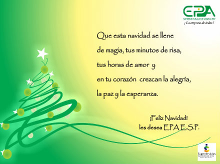 navidad new