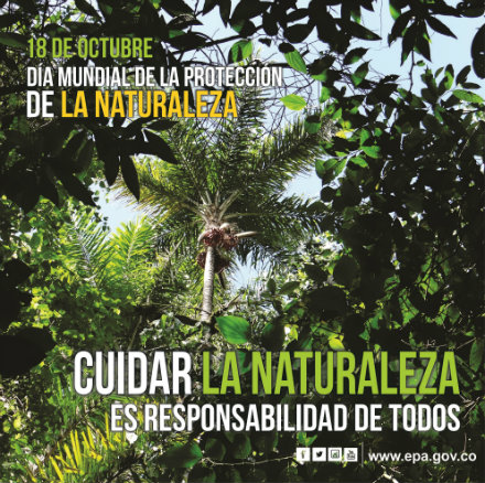 NATURALEZAweb