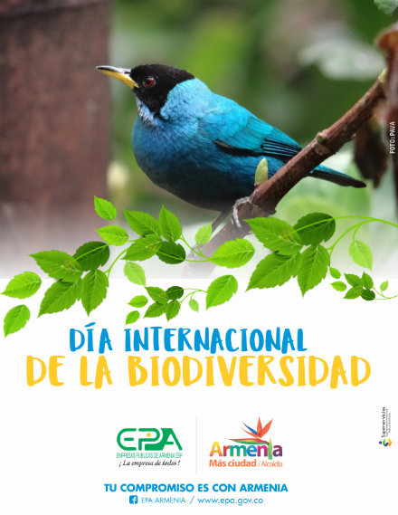 biodiversidad