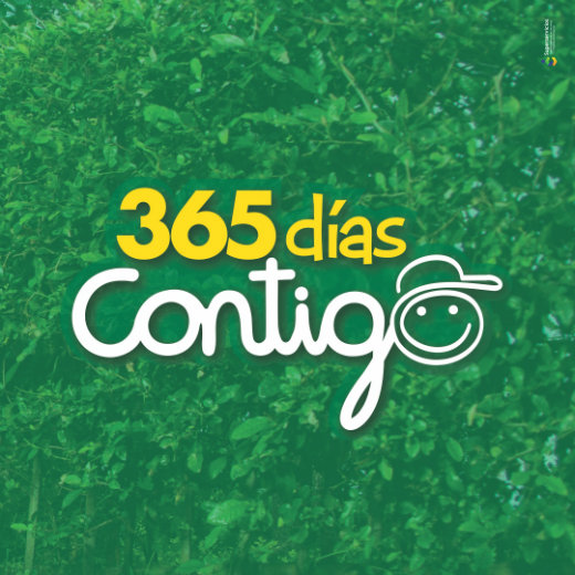 365 dias contigo