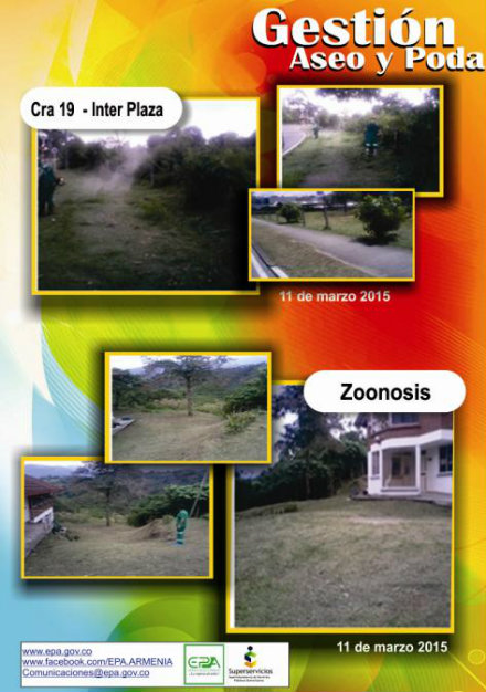 aseo 11 marzo