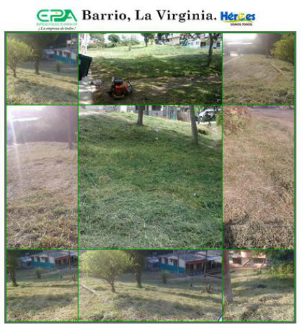 la virginia 14 enero de 2013