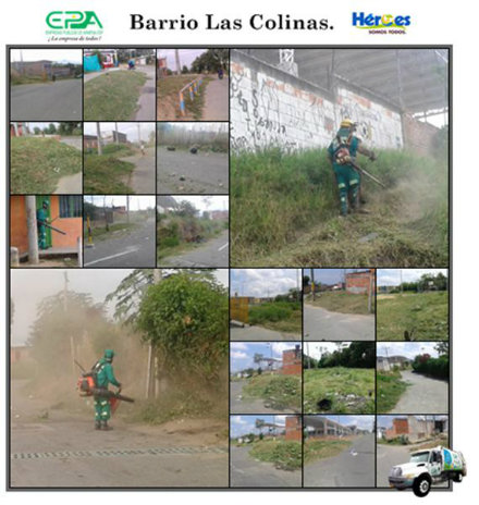 lascolinas216