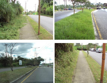 av. centenario 16 dic