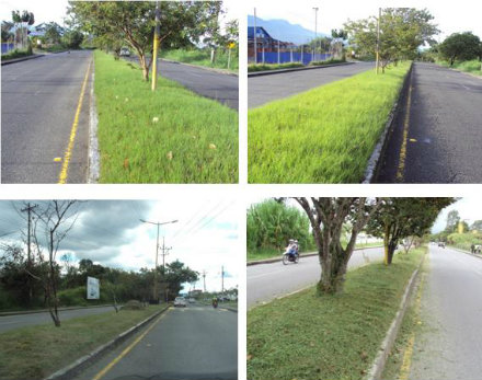 av. centenario dic