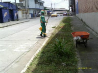 EPA ESP realiza actividades de poda en diferentes lugares de la ciudad.