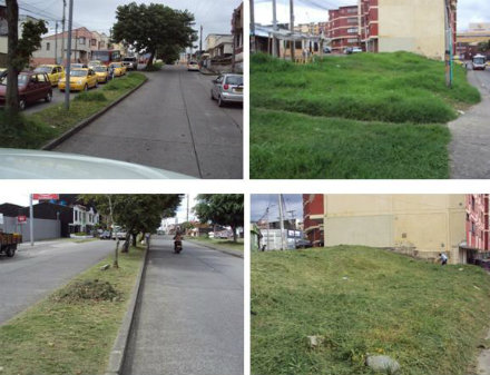 calle 3
