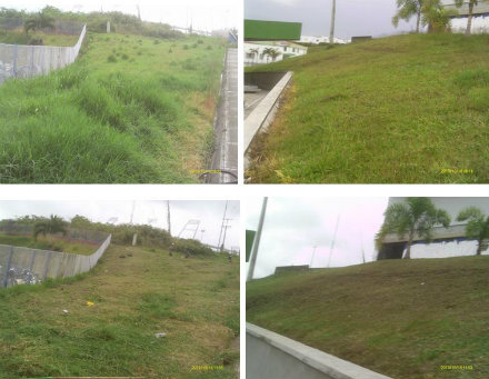 estadiocentenario