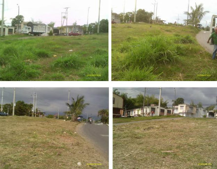 launiversal