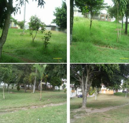 manantiales