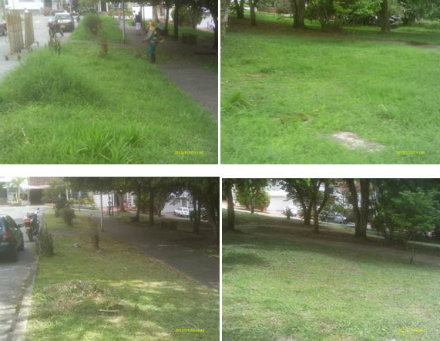 parque coinca