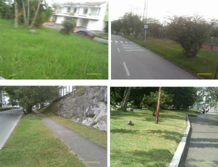 parquelosaborigenes