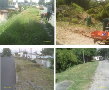 bosquedepinares2