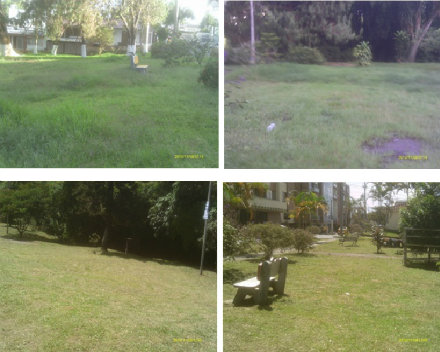 parque laureles