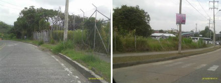 calle 19