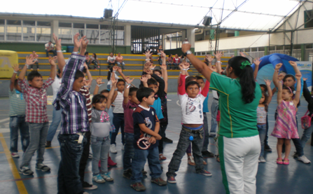 social 5