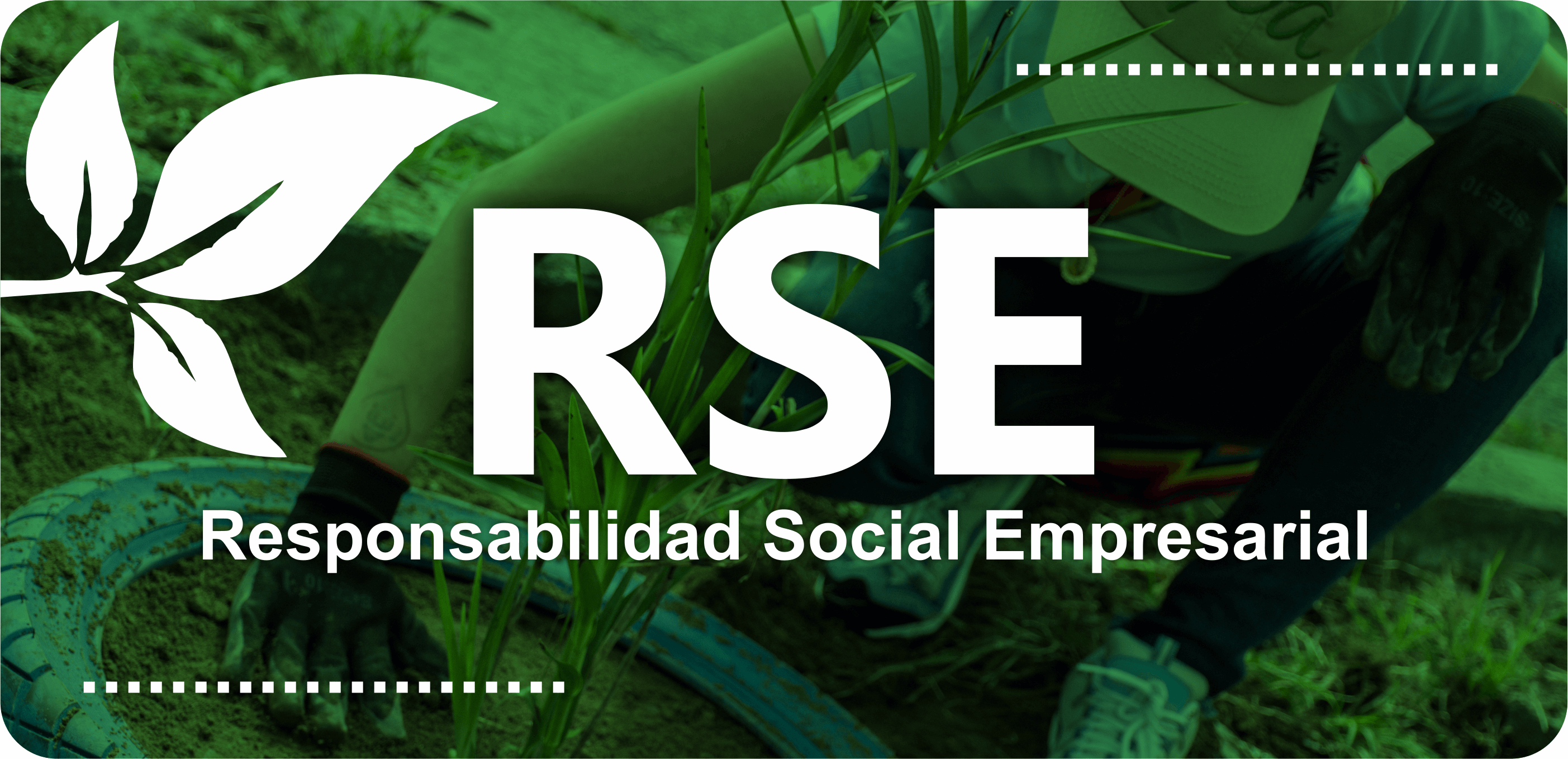 RSE