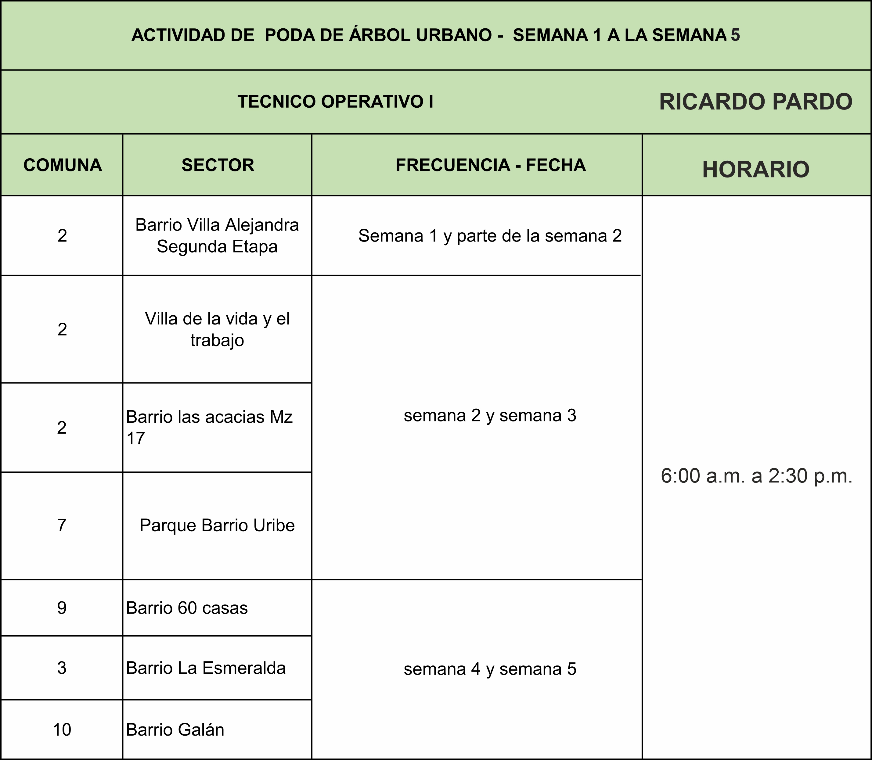 poda de árbol urbano